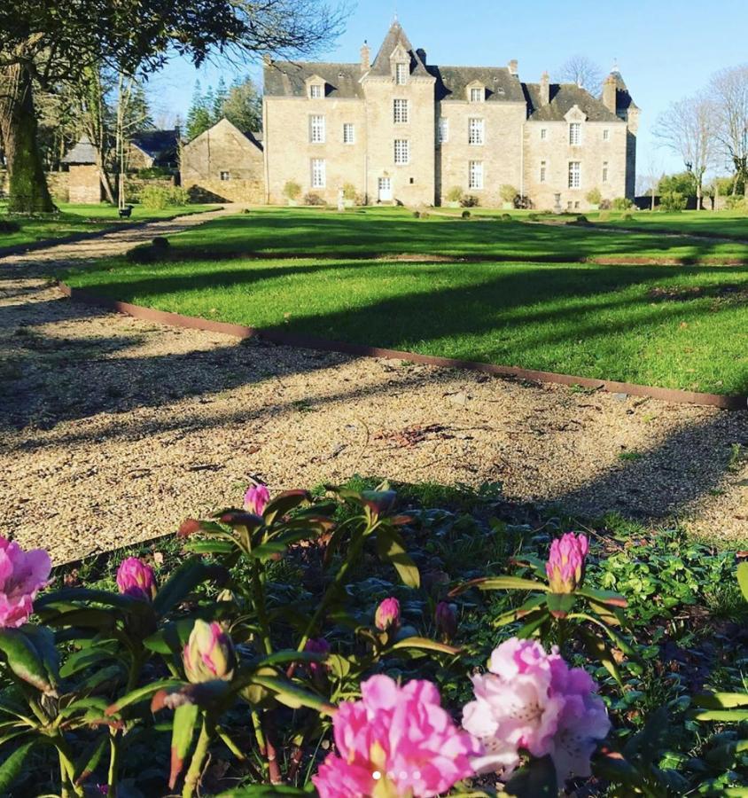 Chateau De Cadouzan Saint-Dolay 외부 사진